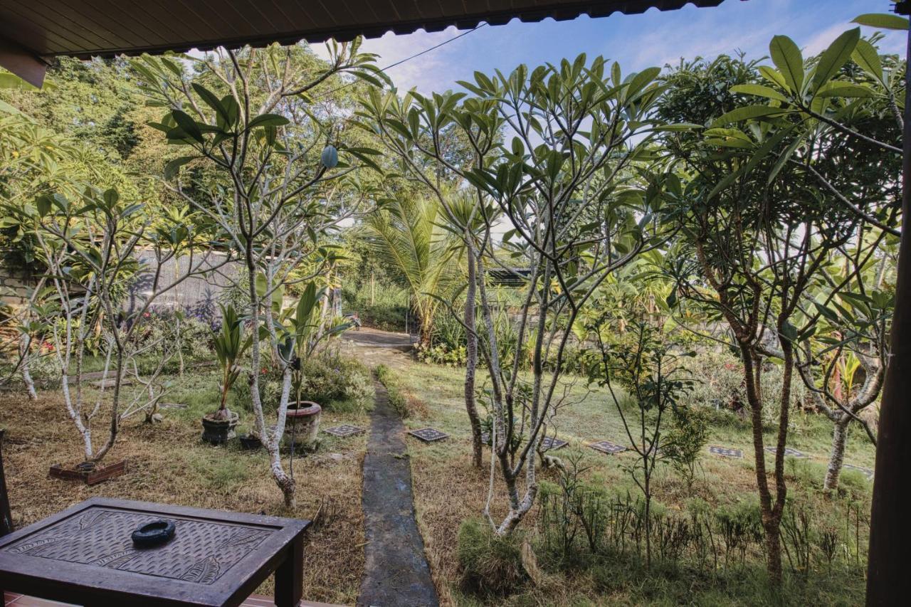 ホテル The Banana House Sakti エクステリア 写真